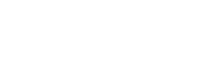 American Academy of Micropigmentation, PMU Board