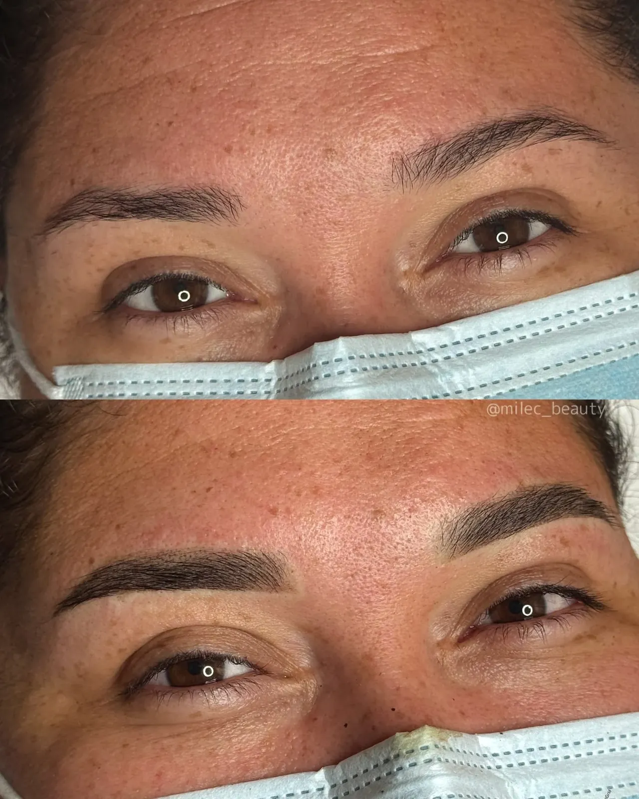 Powder Brows 06 — Mile C Beauty